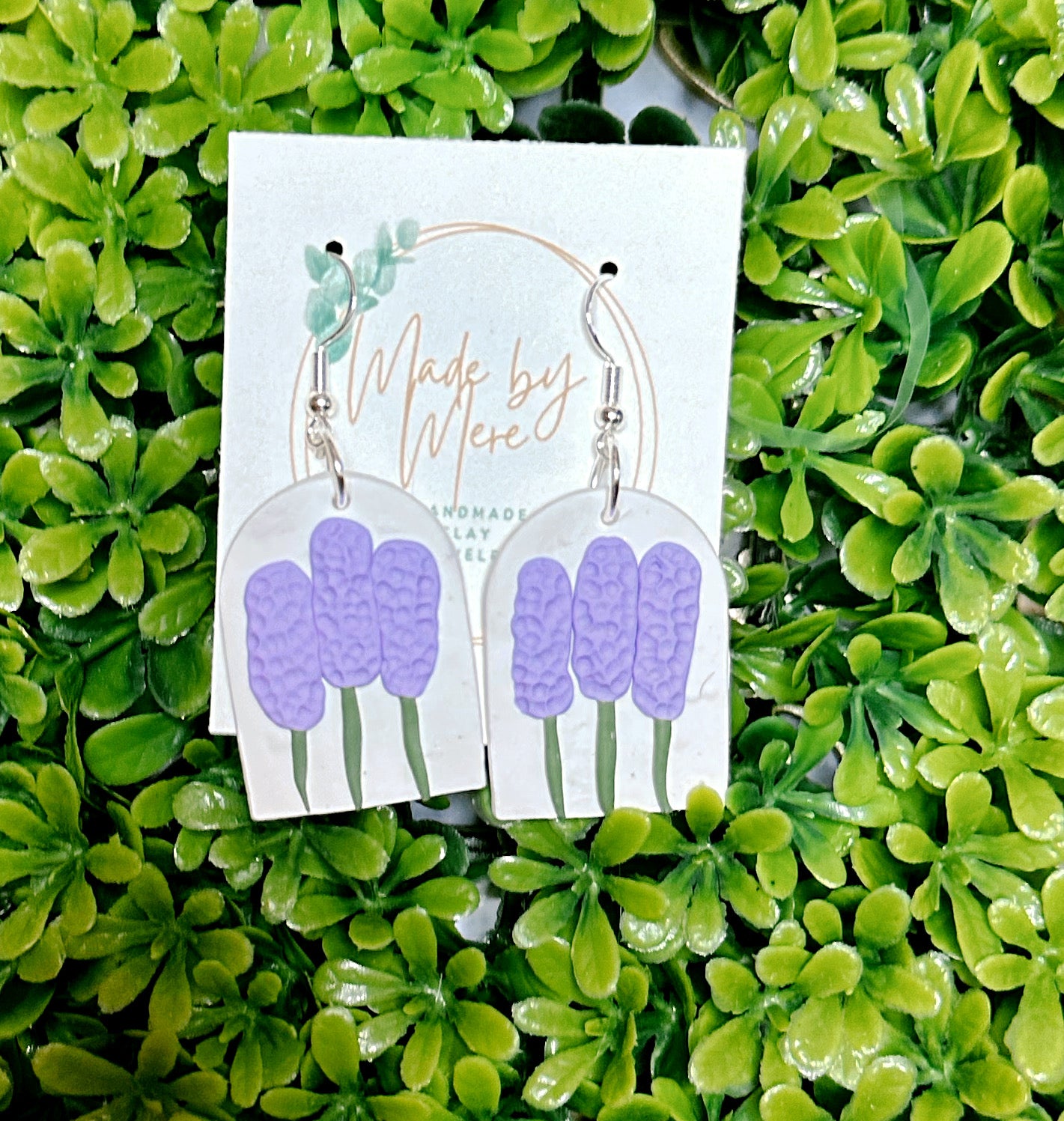 Lavender 🪻 Plants dangle
