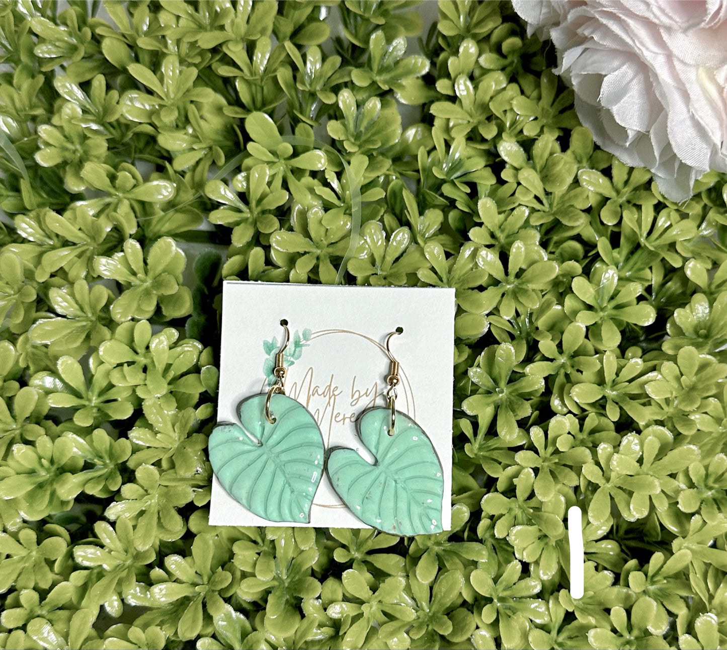 Philodendron Dangles