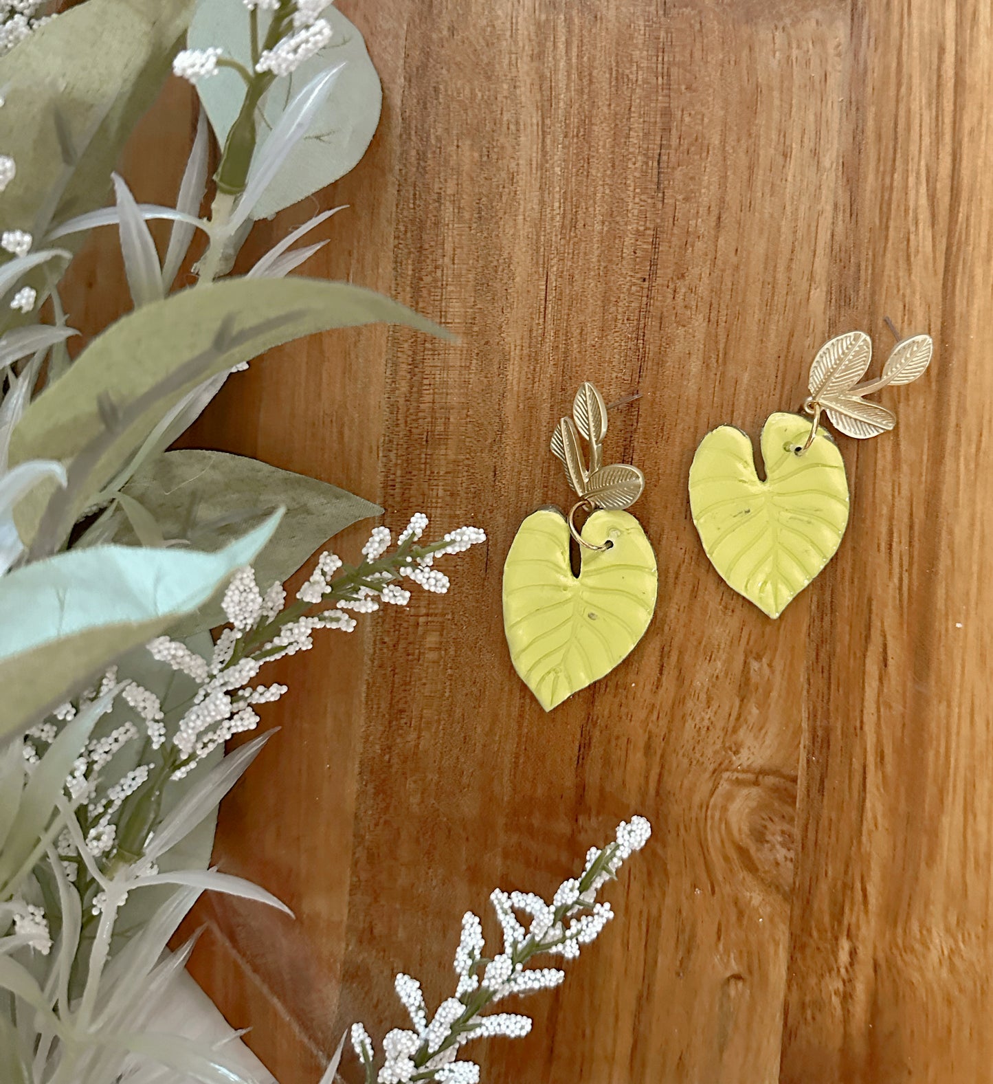 Philodendron Dangles